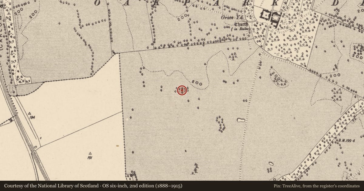 Ordnance Survey six-inch map, 2nd edition (1888–1915) covering the location of Ring-ditch, Oakpark Or Painestown, County Carlow, with a pin at the register's coordinates