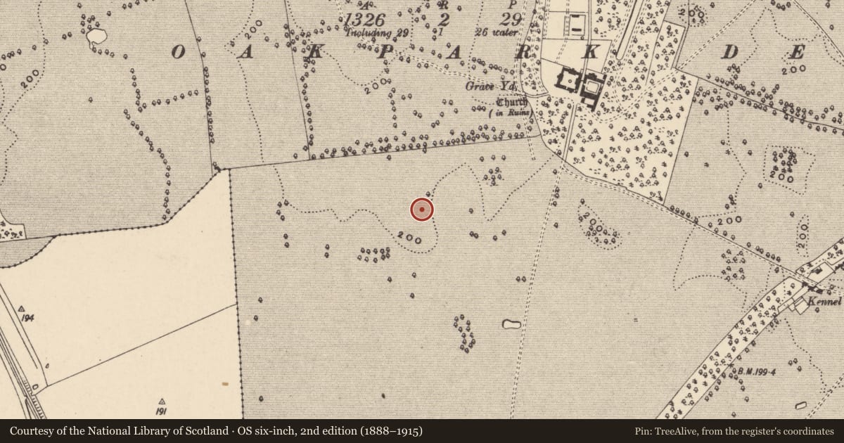 Ordnance Survey six-inch map, 2nd edition (1888–1915) covering the location of Ring-ditch, Oakpark Or Painestown, County Carlow, with a pin at the register's coordinates