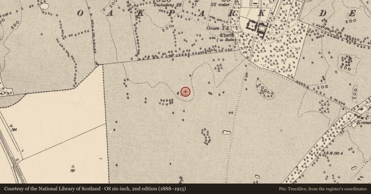Ordnance Survey six-inch map, 2nd edition (1888–1915) covering the location of Ring-ditch, Oakpark Or Painestown, County Carlow, with a pin at the register's coordinates