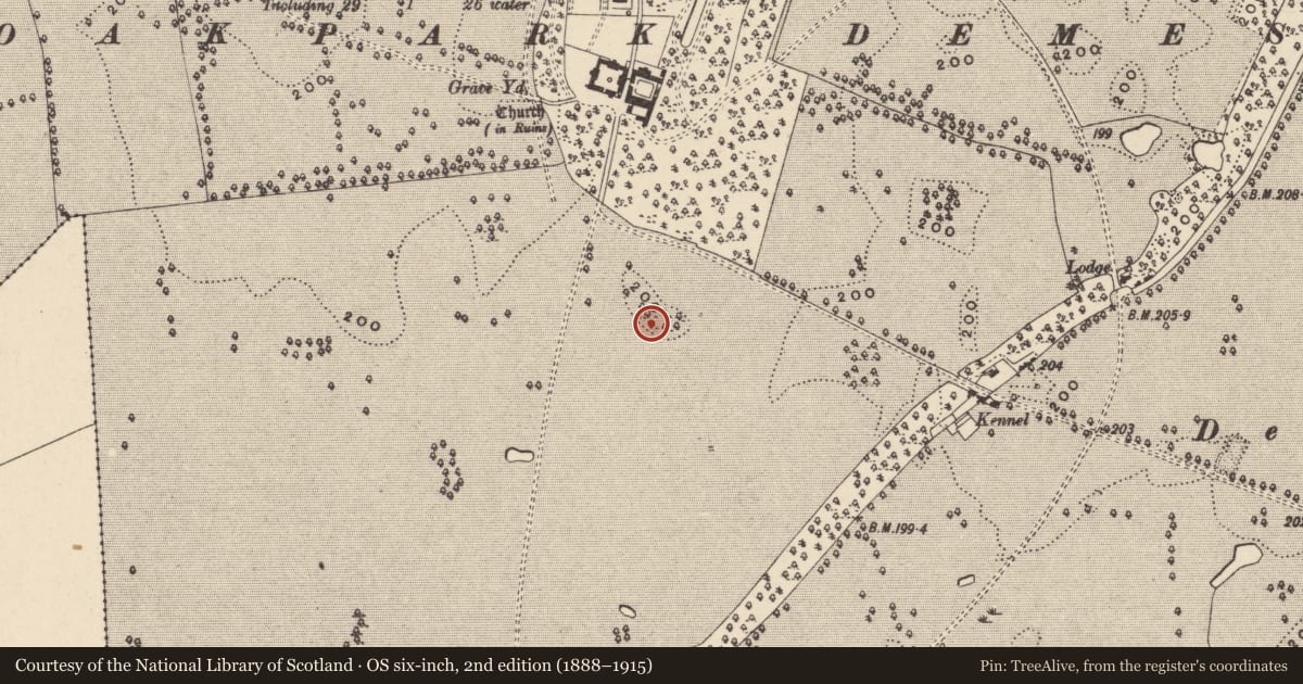 Ordnance Survey six-inch map, 2nd edition (1888–1915) covering the location of Ringfort - rath, Oakpark Or Painestown, County Carlow, with a pin at the register's coordinates