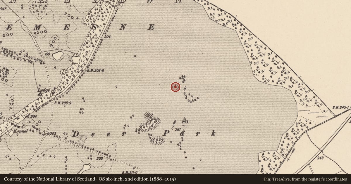 Ordnance Survey six-inch map, 2nd edition (1888–1915) covering the location of Enclosure, Oakpark Or Painestown, County Carlow, with a pin at the register's coordinates