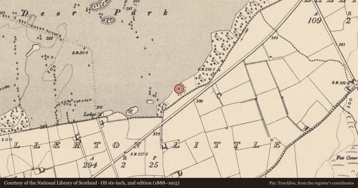 Ordnance Survey six-inch map, 2nd edition (1888–1915) covering the location of Ringfort - rath, Oakpark Or Painestown, County Carlow, with a pin at the register's coordinates