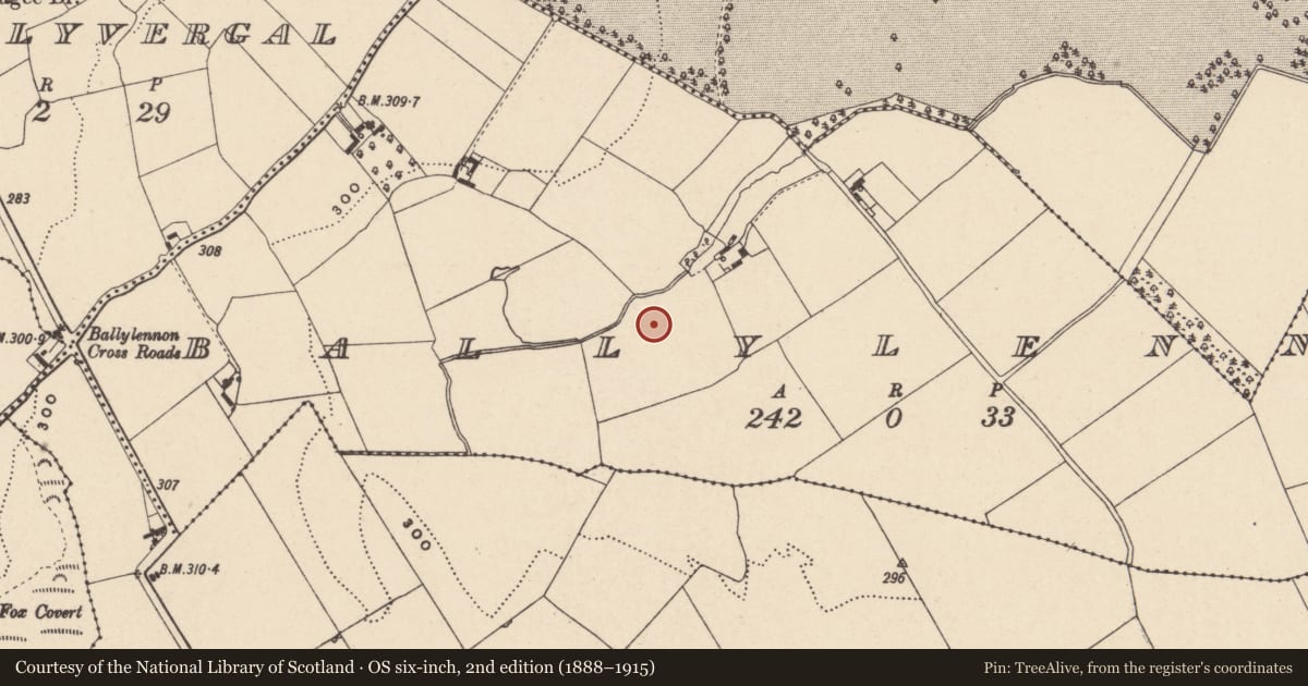 Ordnance Survey six-inch map, 2nd edition (1888–1915) covering the location of Enclosure, Ballylennon, County Carlow, with a pin at the register's coordinates