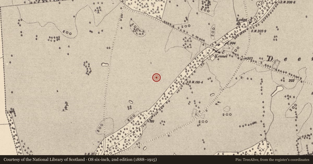 Ordnance Survey six-inch map, 2nd edition (1888–1915) covering the location of Enclosure, Oakpark Or Painestown, County Carlow, with a pin at the register's coordinates