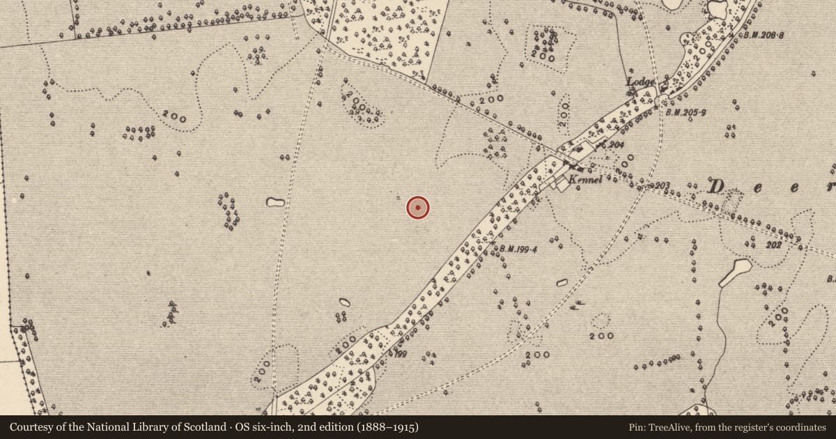 Ordnance Survey six-inch map, 2nd edition (1888–1915) covering the location of Field system, Oakpark Or Painestown, County Carlow, with a pin at the register's coordinates