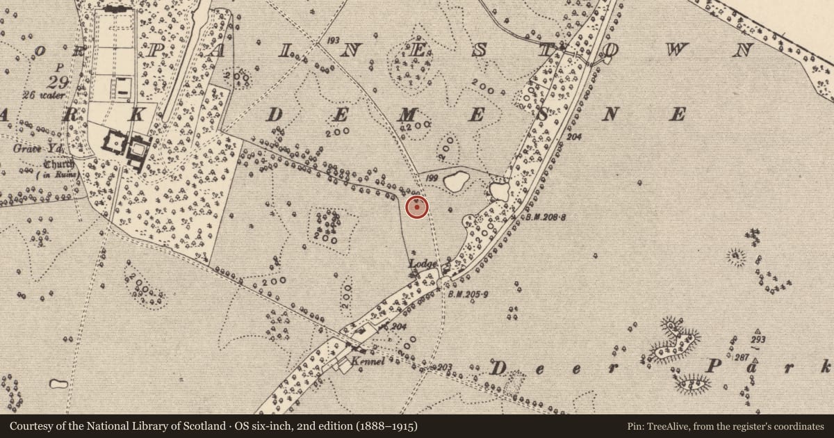 Ordnance Survey six-inch map, 2nd edition (1888–1915) covering the location of Ring-ditch, Oakpark Or Painestown, County Carlow, with a pin at the register's coordinates