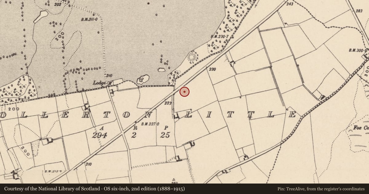 Ordnance Survey six-inch map, 2nd edition (1888–1915) covering the location of Enclosure, Pollerton Little, County Carlow, with a pin at the register's coordinates