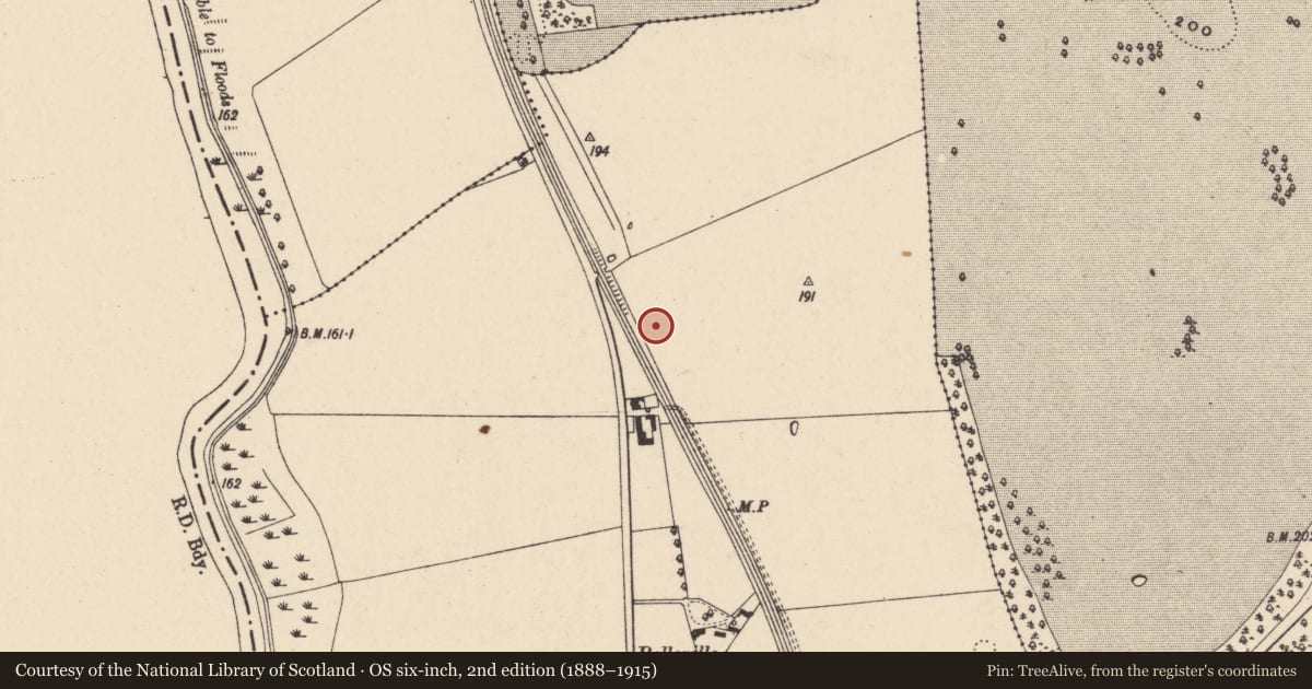 Ordnance Survey six-inch map, 2nd edition (1888–1915) covering the location of Ring-ditch, Strawhall, County Carlow, with a pin at the register's coordinates