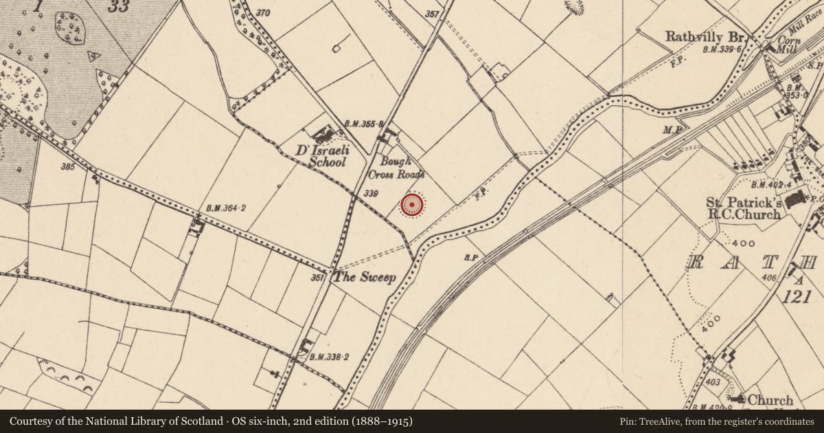 Ordnance Survey six-inch map, 2nd edition (1888–1915) covering the location of Ringfort - rath, Bough, County Carlow, with a pin at the register's coordinates