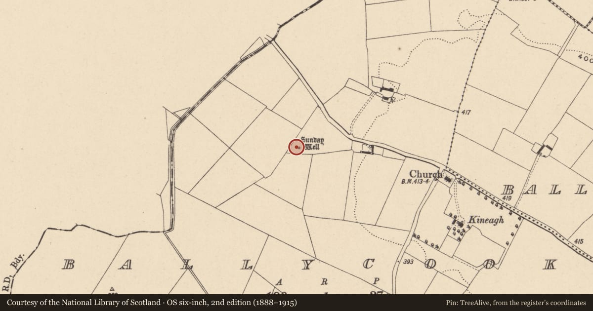 Ordnance Survey six-inch map, 2nd edition (1888–1915) covering the location of Ritual site - holy well, Ballycook, County Carlow, with a pin at the register's coordinates