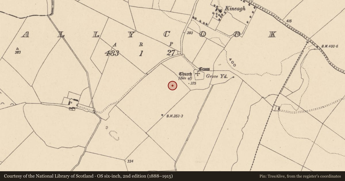Ordnance Survey six-inch map, 2nd edition (1888–1915) covering the location of Bullaun stone, Ballycook, County Carlow, with a pin at the register's coordinates