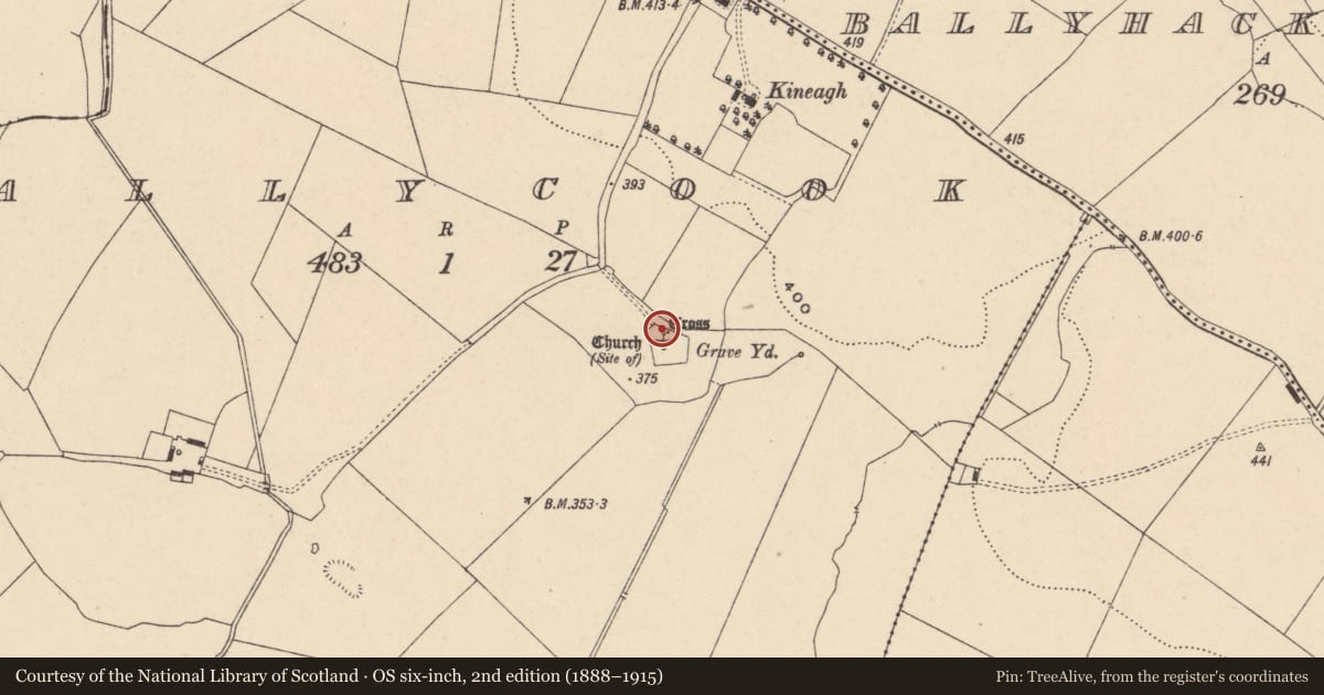 Ordnance Survey six-inch map, 2nd edition (1888–1915) covering the location of Graveslab, Ballycook, County Carlow, with a pin at the register's coordinates