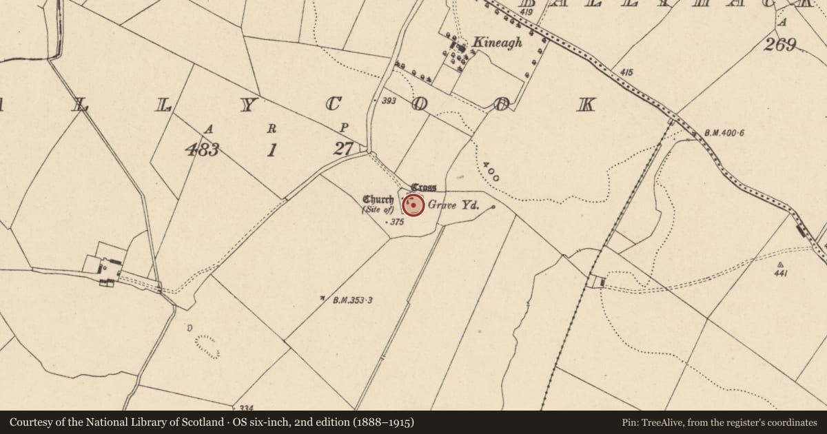 Ordnance Survey six-inch map, 2nd edition (1888–1915) covering the location of Cross, Ballycook, County Carlow, with a pin at the register's coordinates