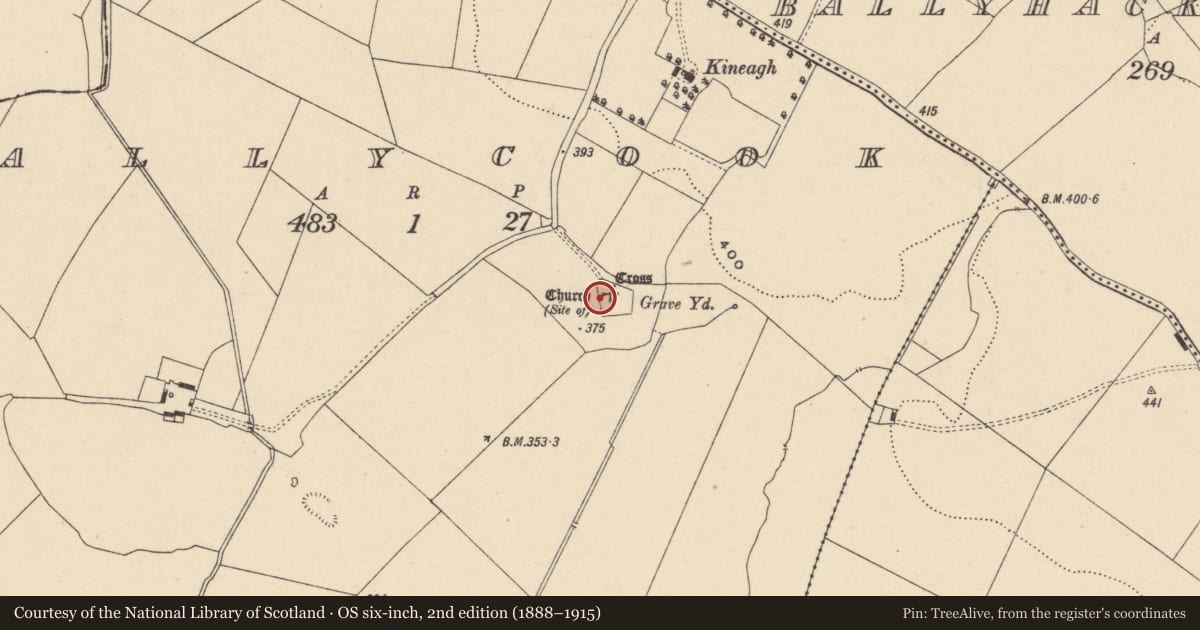 Ordnance Survey six-inch map, 2nd edition (1888–1915) covering the location of Cross, Ballycook, County Carlow, with a pin at the register's coordinates
