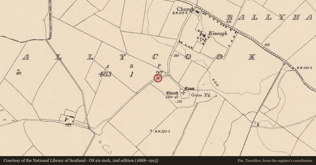 Ordnance Survey six-inch map, 2nd edition (1888–1915) covering the location of Bullaun stone, Ballycook, County Carlow, with a pin at the register's coordinates