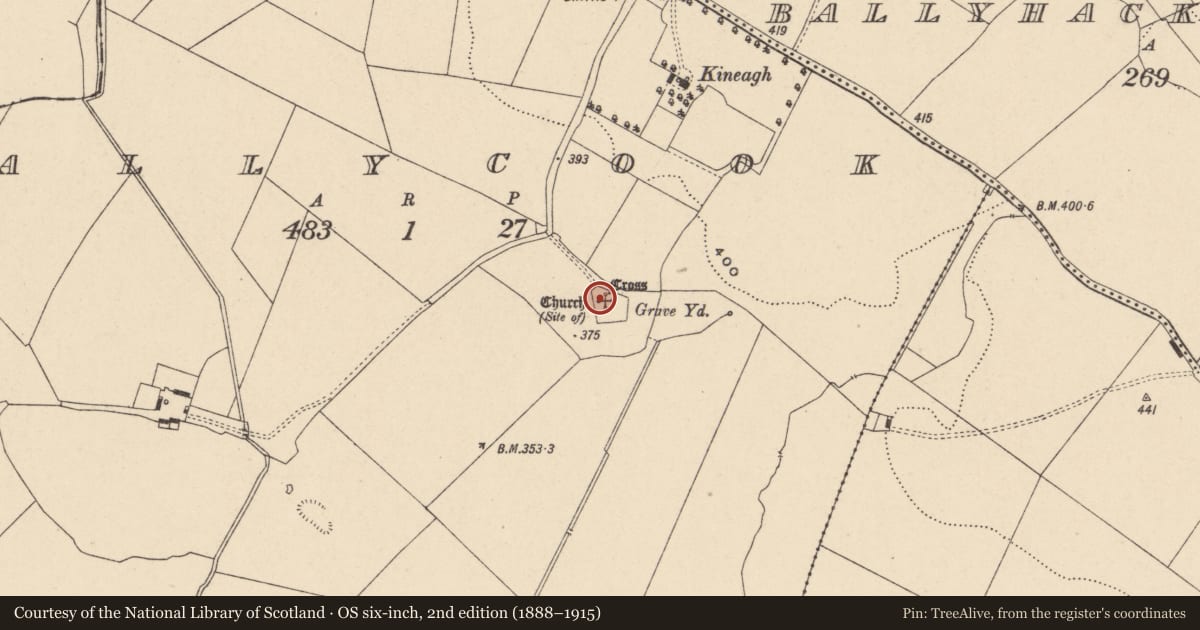 Ordnance Survey six-inch map, 2nd edition (1888–1915) covering the location of Graveslab, Ballycook, County Carlow, with a pin at the register's coordinates
