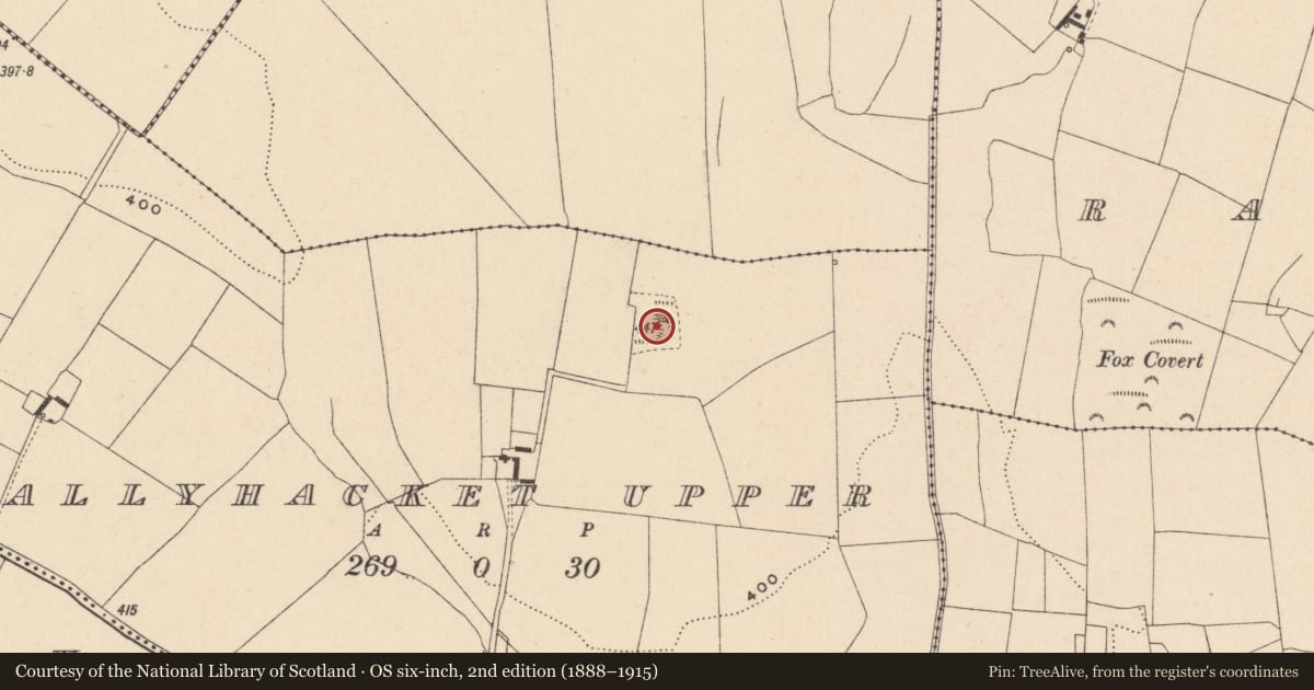 Ordnance Survey six-inch map, 2nd edition (1888–1915) covering the location of Earthwork, Ballyhacket Upper, County Carlow, with a pin at the register's coordinates
