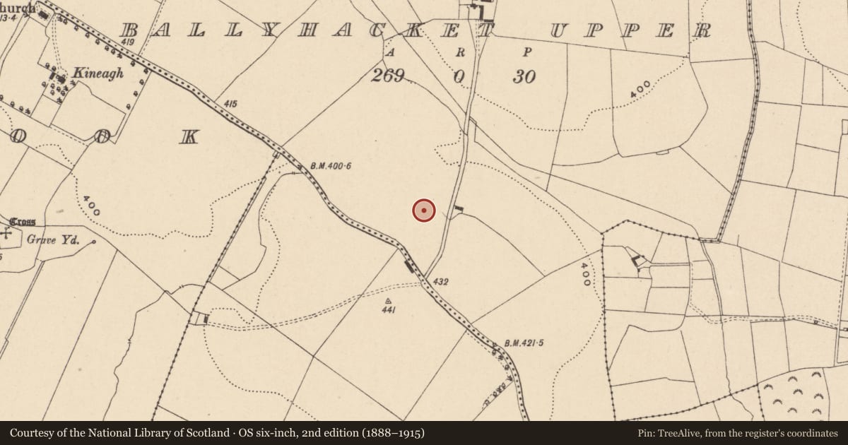 Ordnance Survey six-inch map, 2nd edition (1888–1915) covering the location of Cist, Ballyhacket Upper, County Carlow, with a pin at the register's coordinates