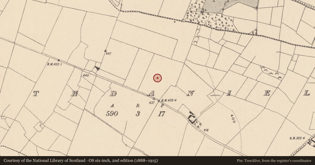 Ordnance Survey six-inch map, 2nd edition (1888–1915) covering the location of Church, Rathdaniel, County Carlow, with a pin at the register's coordinates