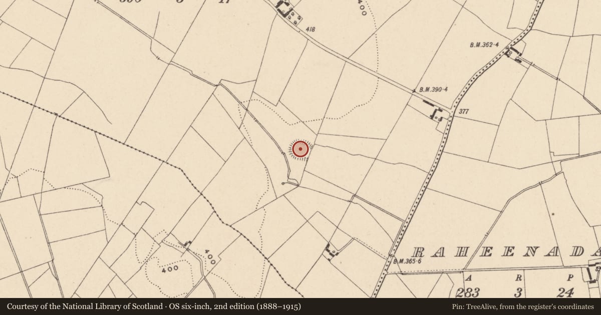Ordnance Survey six-inch map, 2nd edition (1888–1915) covering the location of Ringfort - rath, Rathdaniel, County Carlow, with a pin at the register's coordinates