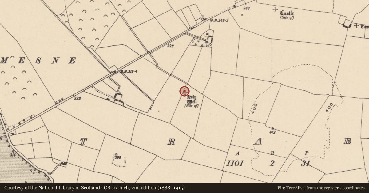 Ordnance Survey six-inch map, 2nd edition (1888–1915) covering the location of Ritual site - holy well, Straboe, County Carlow, with a pin at the register's coordinates