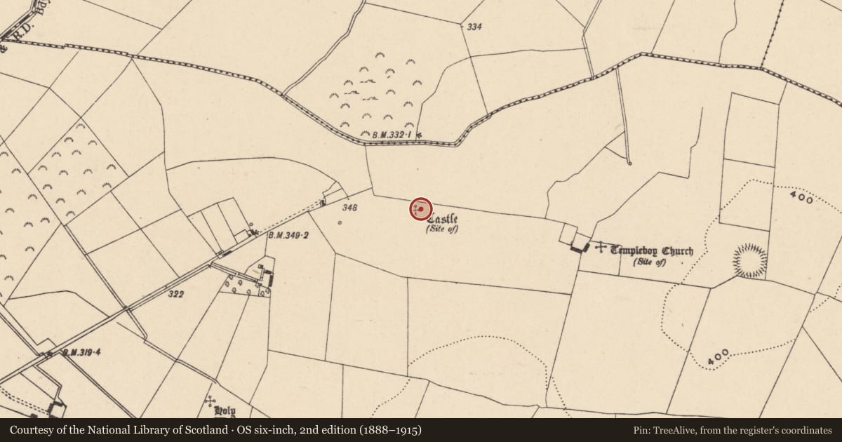 Ordnance Survey six-inch map, 2nd edition (1888–1915) covering the location of Castle - unclassified, Straboe, County Carlow, with a pin at the register's coordinates
