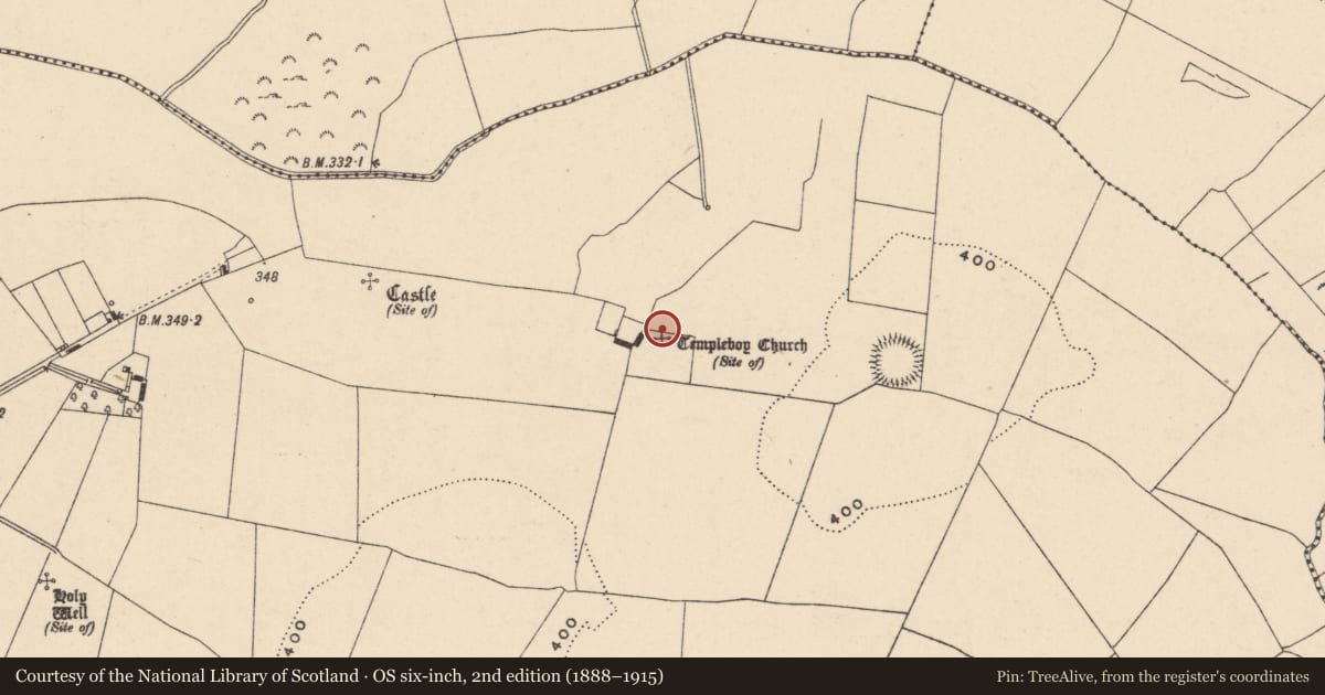 Ordnance Survey six-inch map, 2nd edition (1888–1915) covering the location of Church, Straboe, County Carlow, with a pin at the register's coordinates