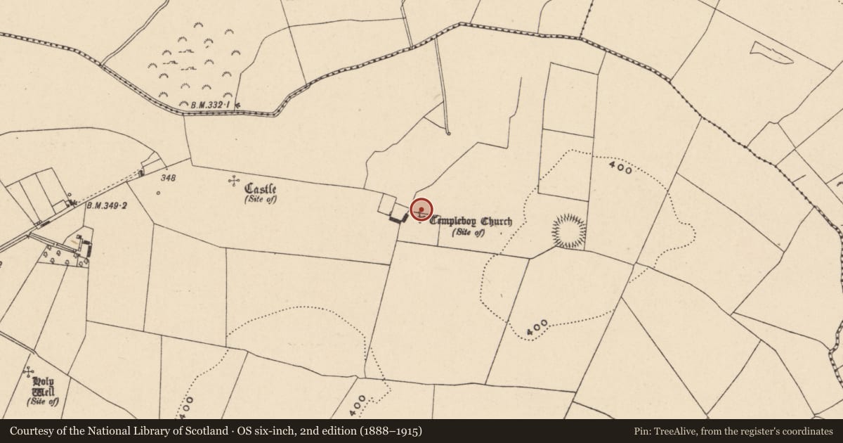 Ordnance Survey six-inch map, 2nd edition (1888–1915) covering the location of Graveslab, Straboe, County Carlow, with a pin at the register's coordinates