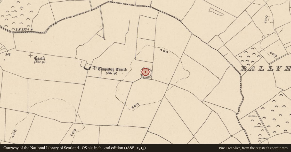 Ordnance Survey six-inch map, 2nd edition (1888–1915) covering the location of Ringfort - rath, Straboe, County Carlow, with a pin at the register's coordinates