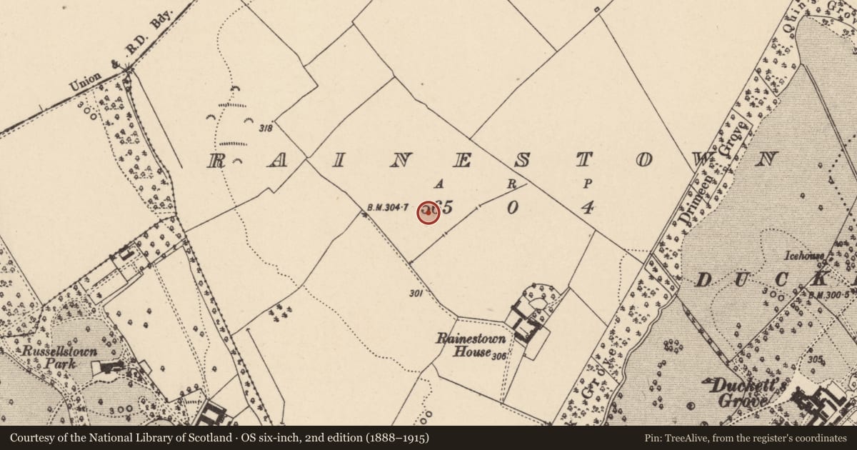 Ordnance Survey six-inch map, 2nd edition (1888–1915) covering the location of Field system, Rainestown, County Carlow, with a pin at the register's coordinates