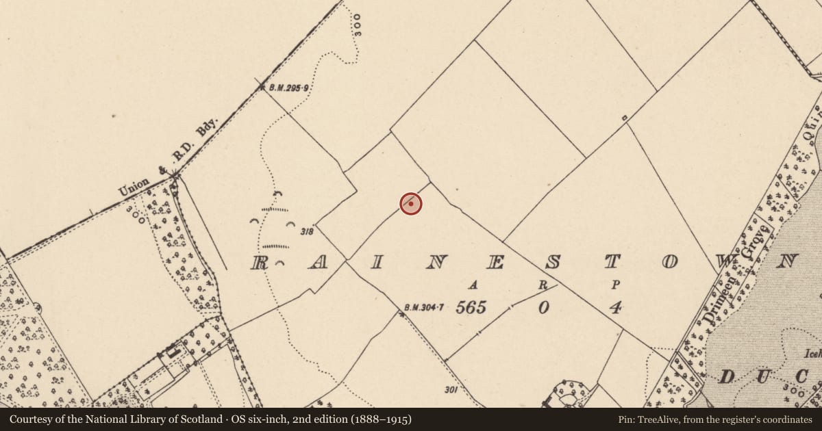 Ordnance Survey six-inch map, 2nd edition (1888–1915) covering the location of Enclosure, Rainestown, County Carlow, with a pin at the register's coordinates