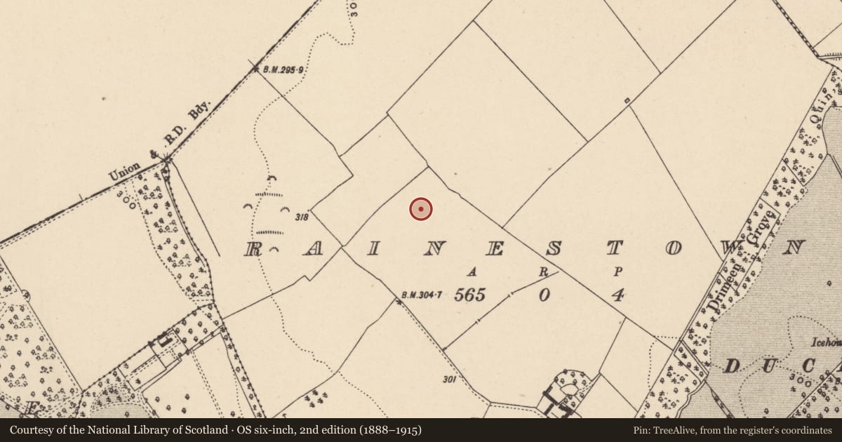 Ordnance Survey six-inch map, 2nd edition (1888–1915) covering the location of Enclosure, Rainestown, County Carlow, with a pin at the register's coordinates