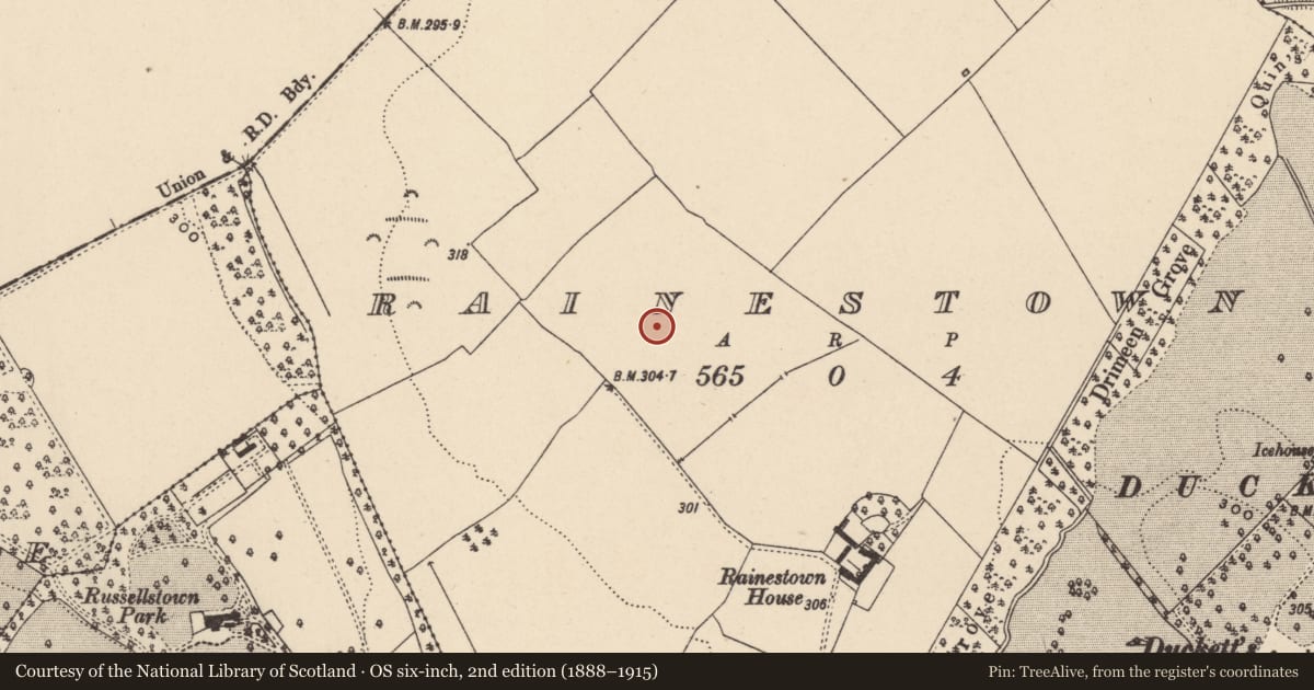 Ordnance Survey six-inch map, 2nd edition (1888–1915) covering the location of Enclosure, Rainestown, County Carlow, with a pin at the register's coordinates