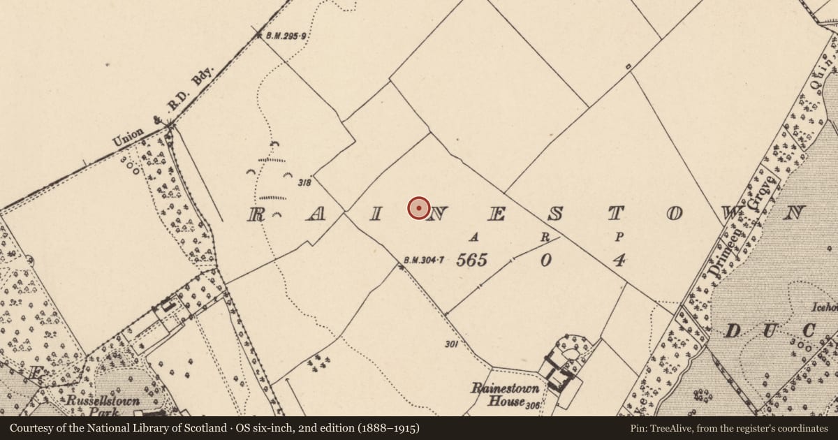Ordnance Survey six-inch map, 2nd edition (1888–1915) covering the location of Enclosure, Rainestown, County Carlow, with a pin at the register's coordinates
