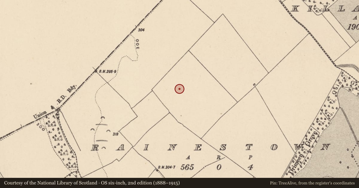 Ordnance Survey six-inch map, 2nd edition (1888–1915) covering the location of Enclosure, Rainestown, County Carlow, with a pin at the register's coordinates