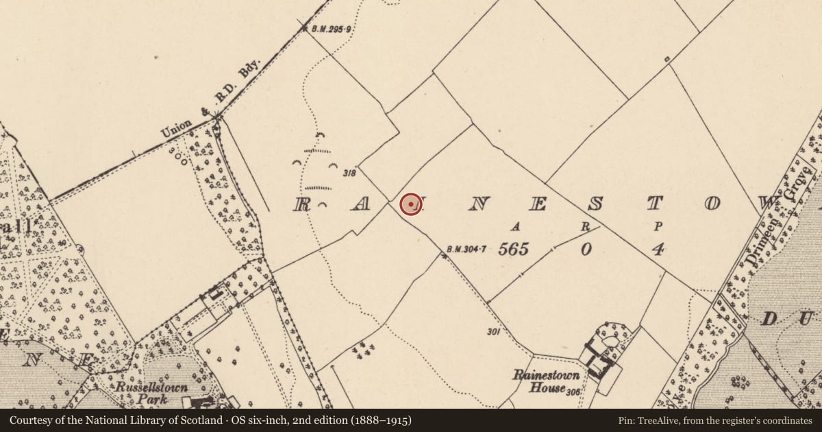 Ordnance Survey six-inch map, 2nd edition (1888–1915) covering the location of Enclosure, Rainestown, County Carlow, with a pin at the register's coordinates