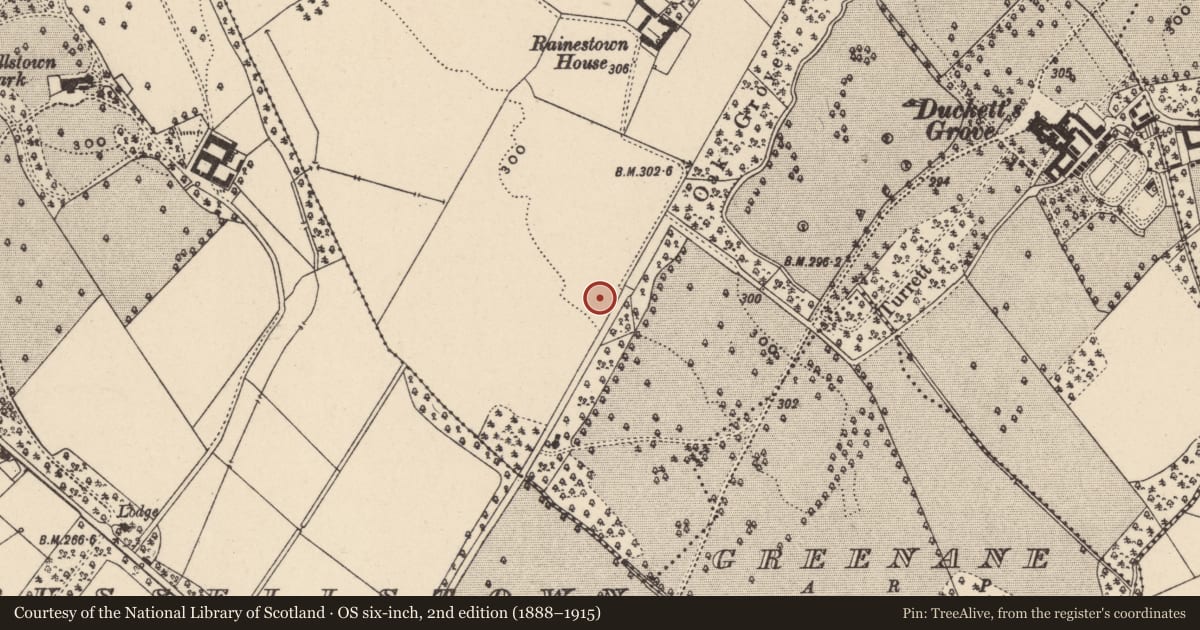 Ordnance Survey six-inch map, 2nd edition (1888–1915) covering the location of Enclosure, Rainestown, County Carlow, with a pin at the register's coordinates
