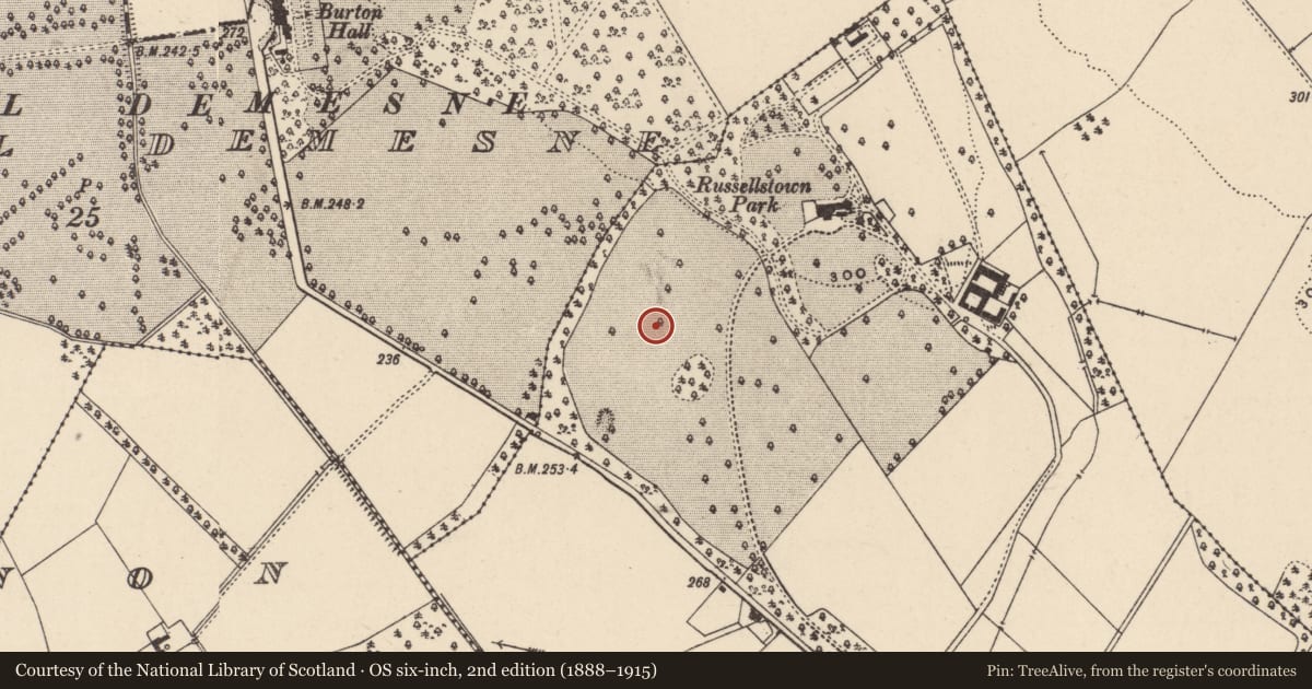 Ordnance Survey six-inch map, 2nd edition (1888–1915) covering the location of Excavation - miscellaneous, Russellstown, County Carlow, with a pin at the register's coordinates