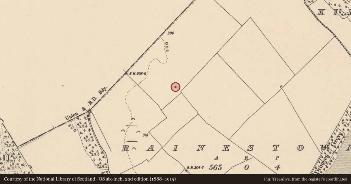 Ordnance Survey six-inch map, 2nd edition (1888–1915) covering the location of Enclosure, Rainestown, County Carlow, with a pin at the register's coordinates