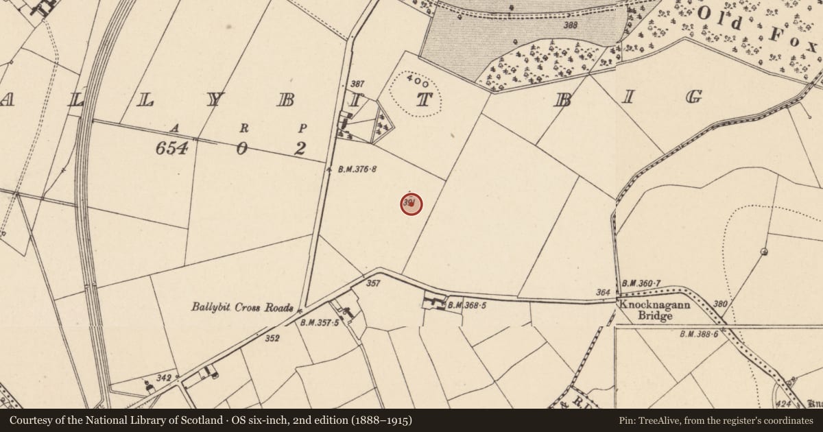 Ordnance Survey six-inch map, 2nd edition (1888–1915) covering the location of Enclosure, Ballybit Big, County Carlow, with a pin at the register's coordinates