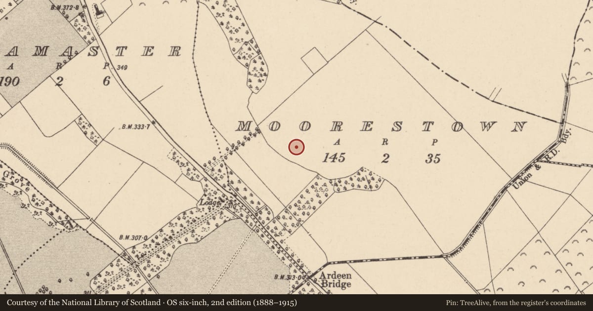 Ordnance Survey six-inch map, 2nd edition (1888–1915) covering the location of Enclosure - large enclosure, Moorestown, County Carlow, with a pin at the register's coordinates