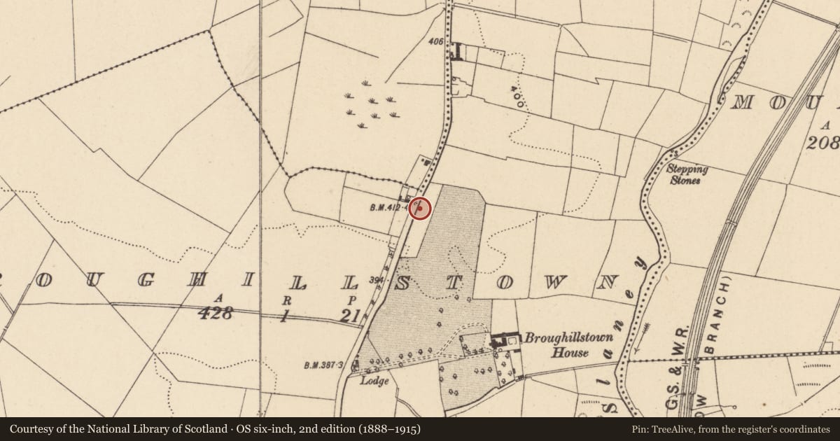 Ordnance Survey six-inch map, 2nd edition (1888–1915) covering the location of Standing stone, Broughillstown, County Carlow, with a pin at the register's coordinates