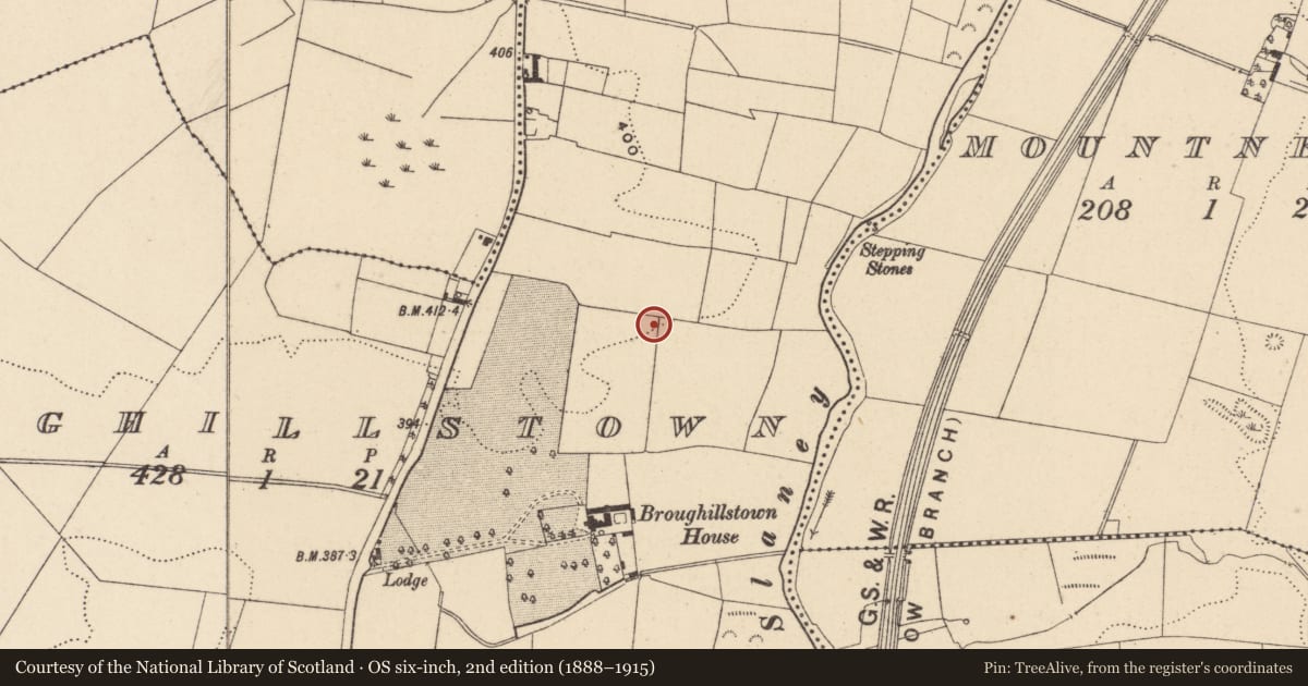 Ordnance Survey six-inch map, 2nd edition (1888–1915) covering the location of Standing stone (present location), Broughillstown, County Carlow, with a pin at the register's coordinates