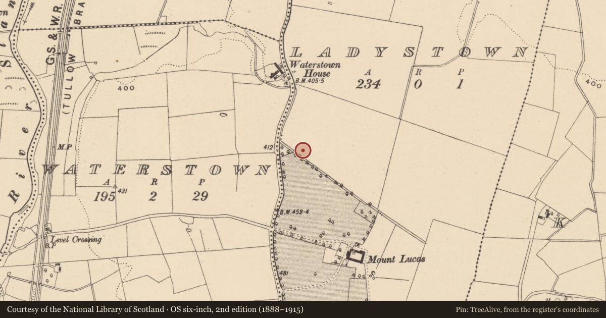 Ordnance Survey six-inch map, 2nd edition (1888–1915) covering the location of Cross, Ladystown, County Carlow, with a pin at the register's coordinates