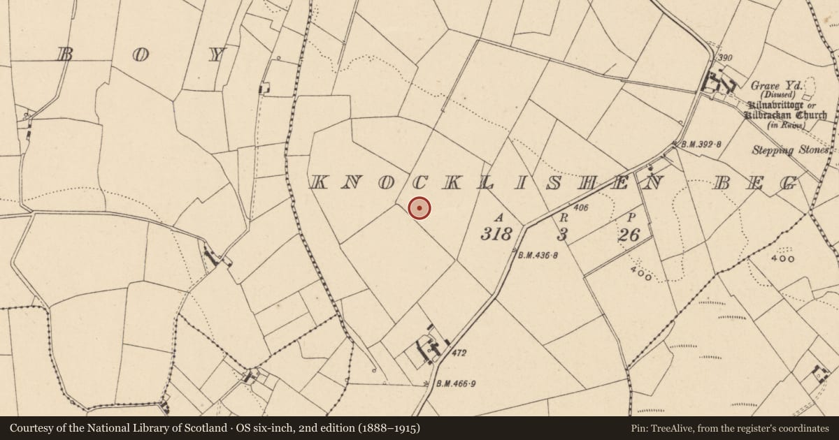 Ordnance Survey six-inch map, 2nd edition (1888–1915) covering the location of Urn burial, Knocklishen Beg, County Carlow, with a pin at the register's coordinates
