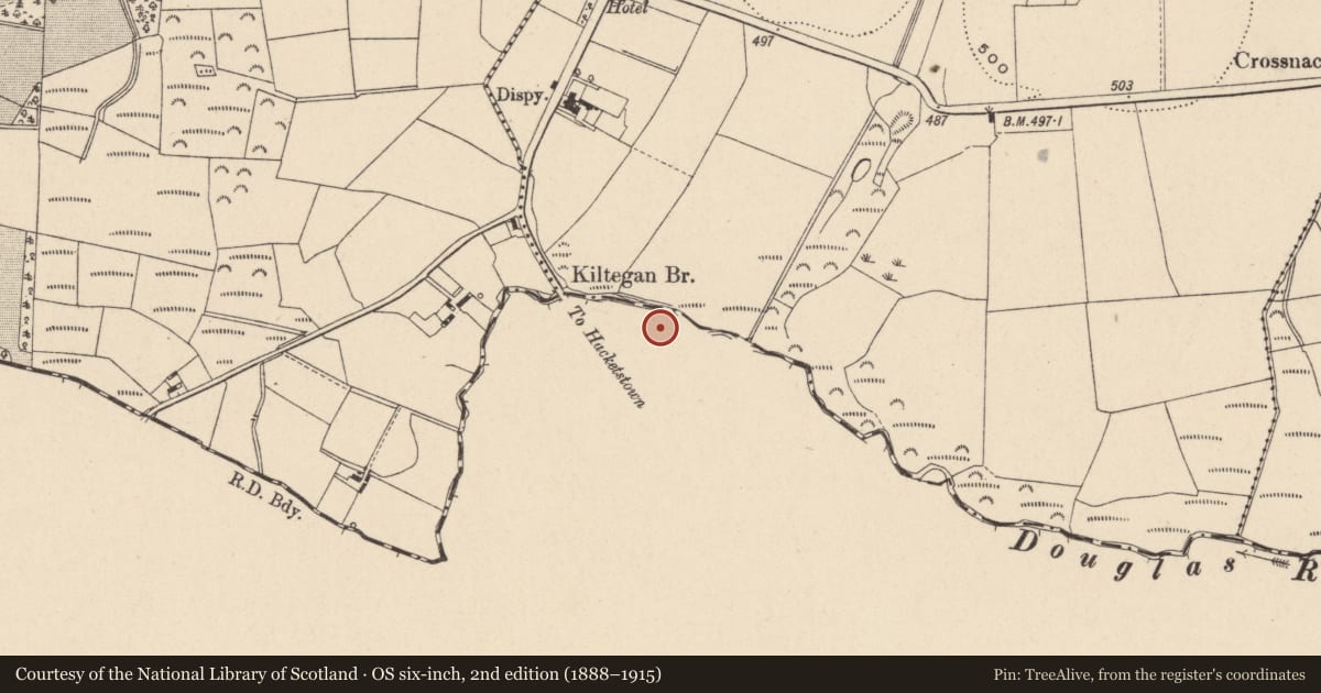 Ordnance Survey six-inch map, 2nd edition (1888–1915) covering the location of Church, Tinnaclash, County Carlow, with a pin at the register's coordinates