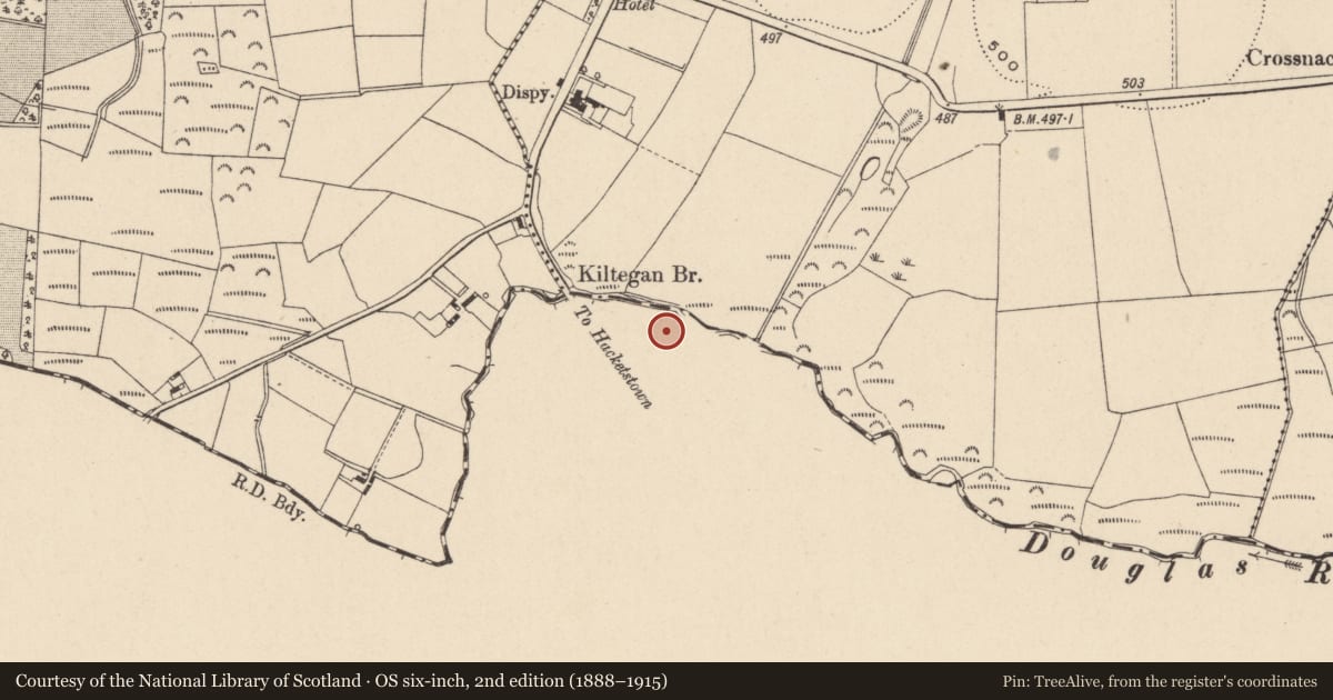 Ordnance Survey six-inch map, 2nd edition (1888–1915) covering the location of Graveyard, Tinnaclash, County Carlow, with a pin at the register's coordinates
