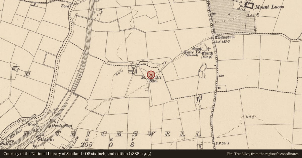 Ordnance Survey six-inch map, 2nd edition (1888–1915) covering the location of Ritual site - holy well, Patrickswell, County Carlow, with a pin at the register's coordinates