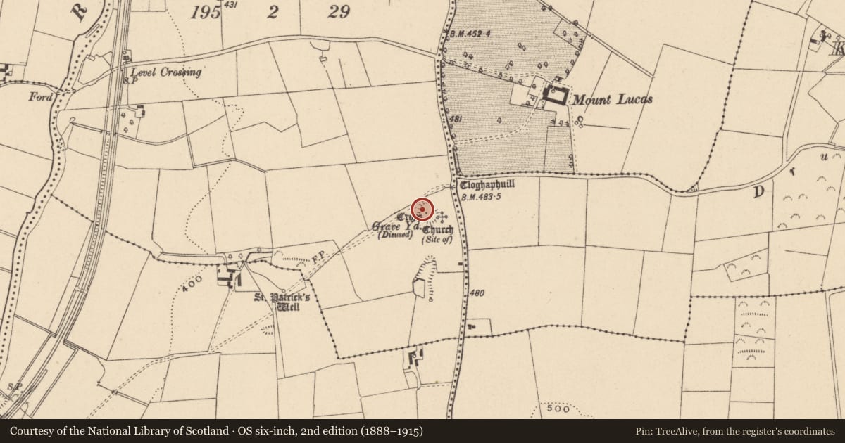 Ordnance Survey six-inch map, 2nd edition (1888–1915) covering the location of Cross - High cross, Waterstown, County Carlow, with a pin at the register's coordinates