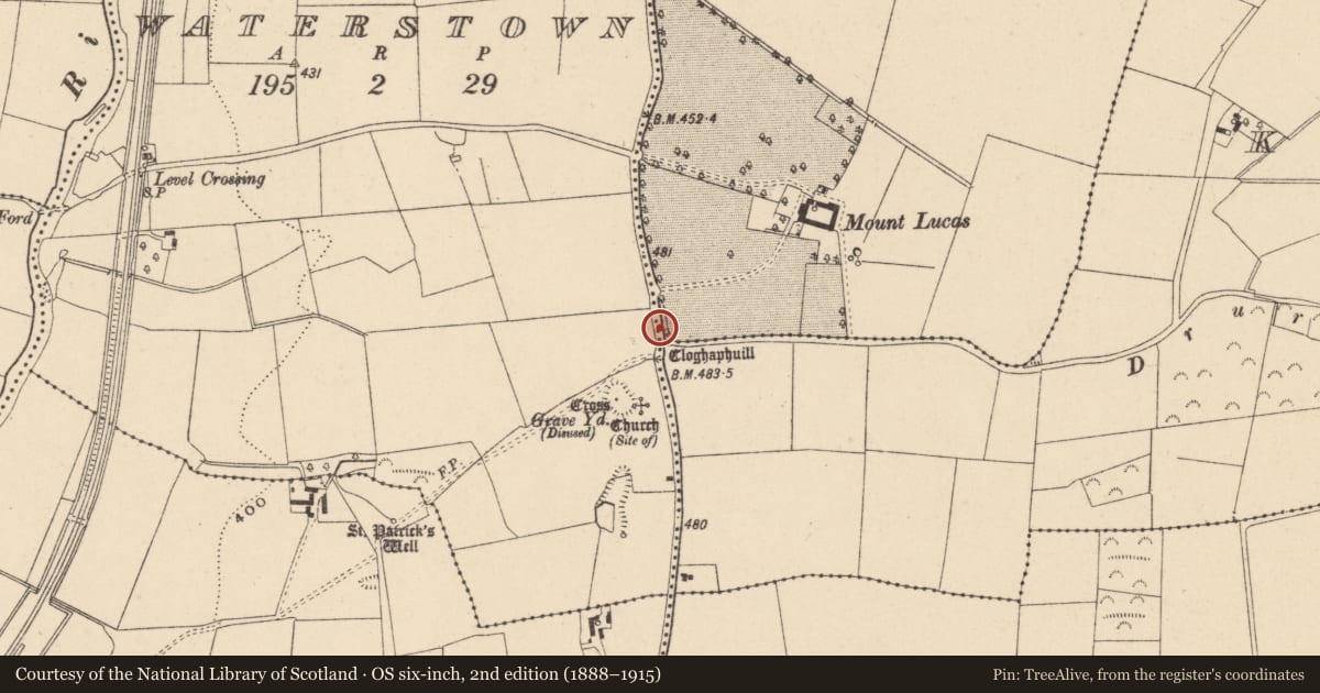Ordnance Survey six-inch map, 2nd edition (1888–1915) covering the location of Cross - Wayside cross, Ladystown, County Carlow, with a pin at the register's coordinates
